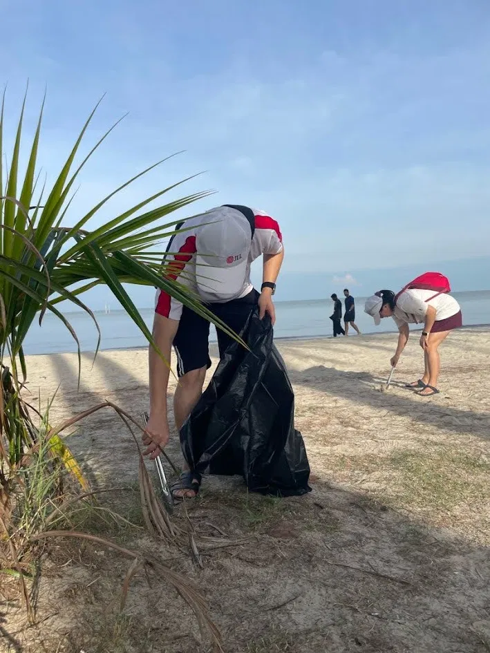 Beach clean-up in progress